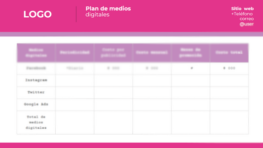 Plan de Medios